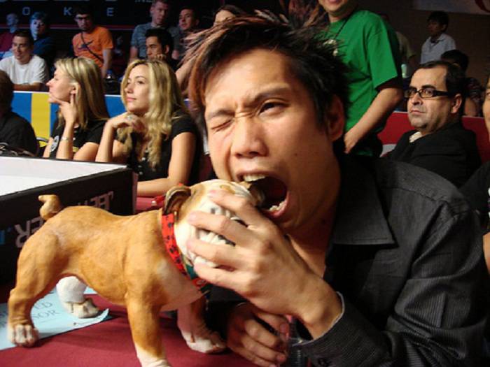 Se Un Cane Morde Viene Abbattuto