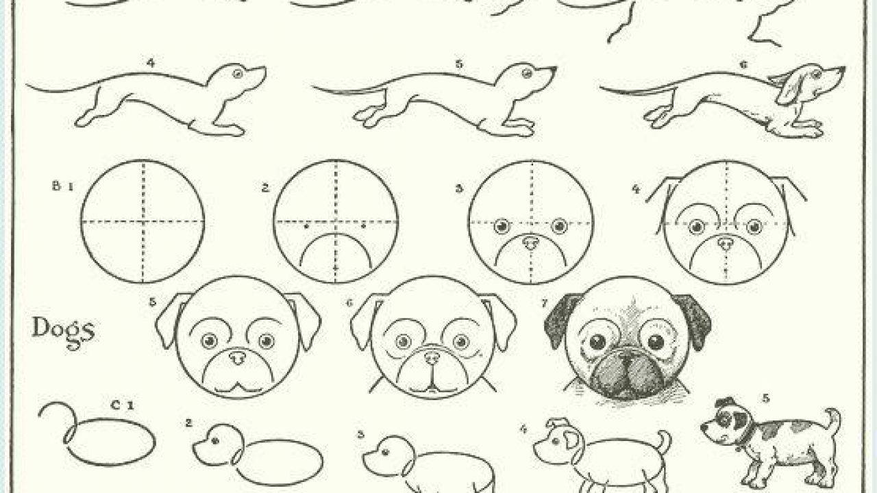 Come Disegnare Un Cane Simpatico Realistico Facilmente