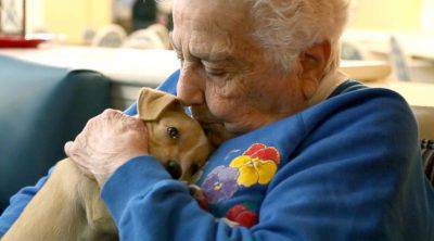 L'Alzheimer si cura con gli animali: è rivoluzione in una clinica di Mantova