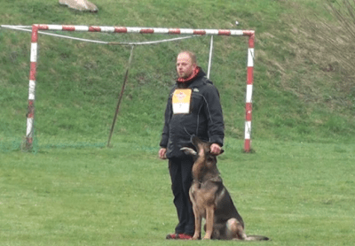 obedience cani