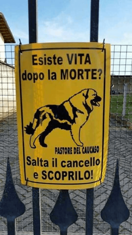 Simpatiche Cartelli Attenti Al Cane Divertenti