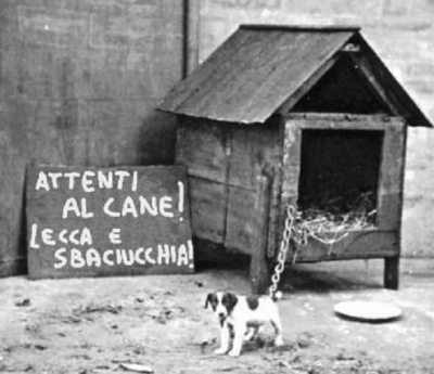 attenti al cane 