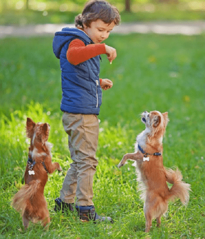 cani e bambini