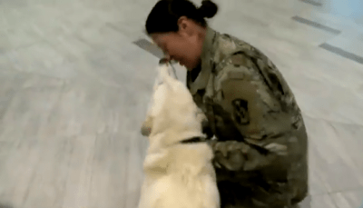 soldatessa incontra cane