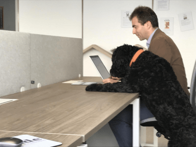 cani lavoro