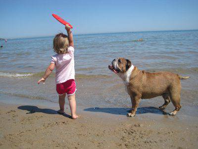 cane spiaggia fase 2