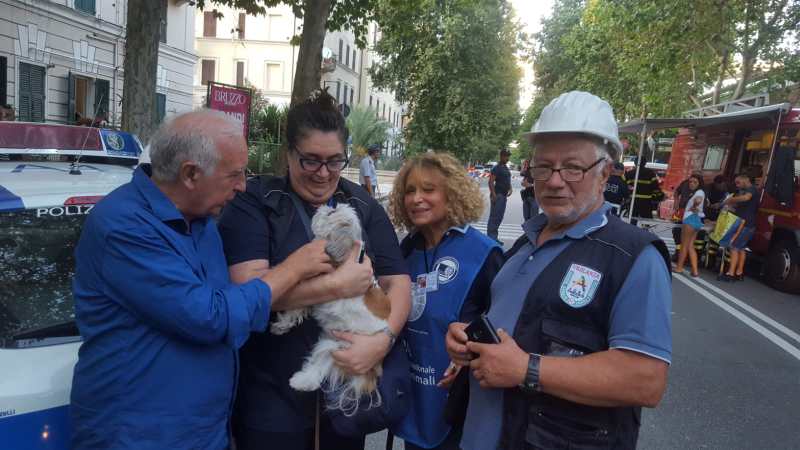 Volontari soccorso animali ponte Morandi