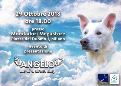 angelo cane ucciso