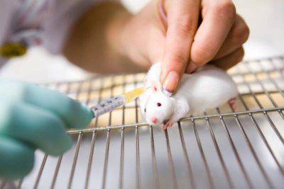 test cosmetici animali
