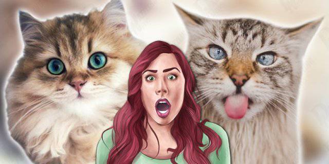 gatti malattie trasmissibili