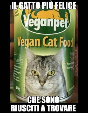 dieta vegana gatti