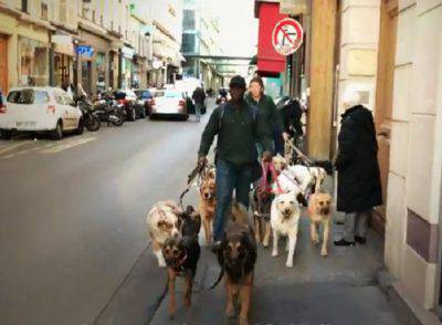 pensione per cani dog sitter