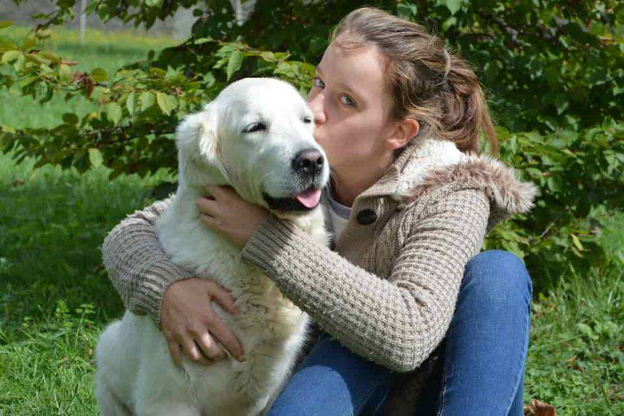 baciare il cane