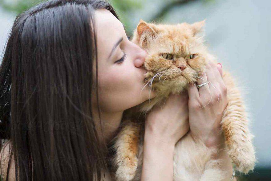 le cose che i gatti odiano dell'uomo