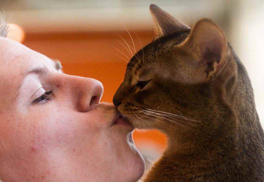 bacio al gatto