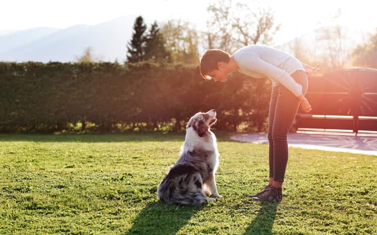 cane che salta addosso come educarlo