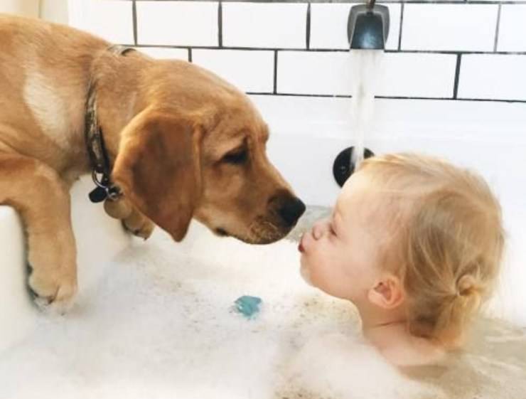 cane bagno bimbo bambino