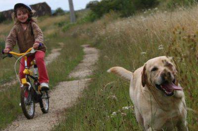 bambini passeggiata cane epidemia