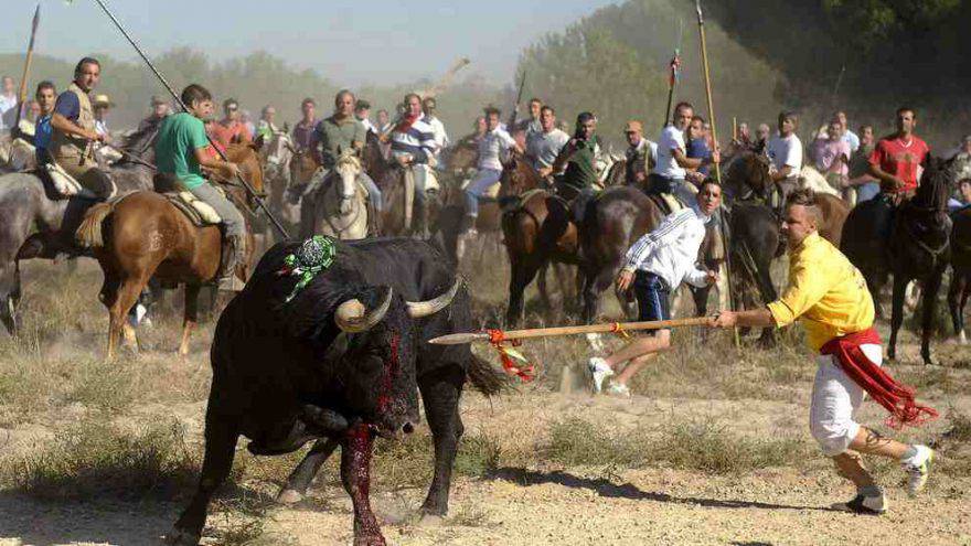 Corrida uccisione tori spagna