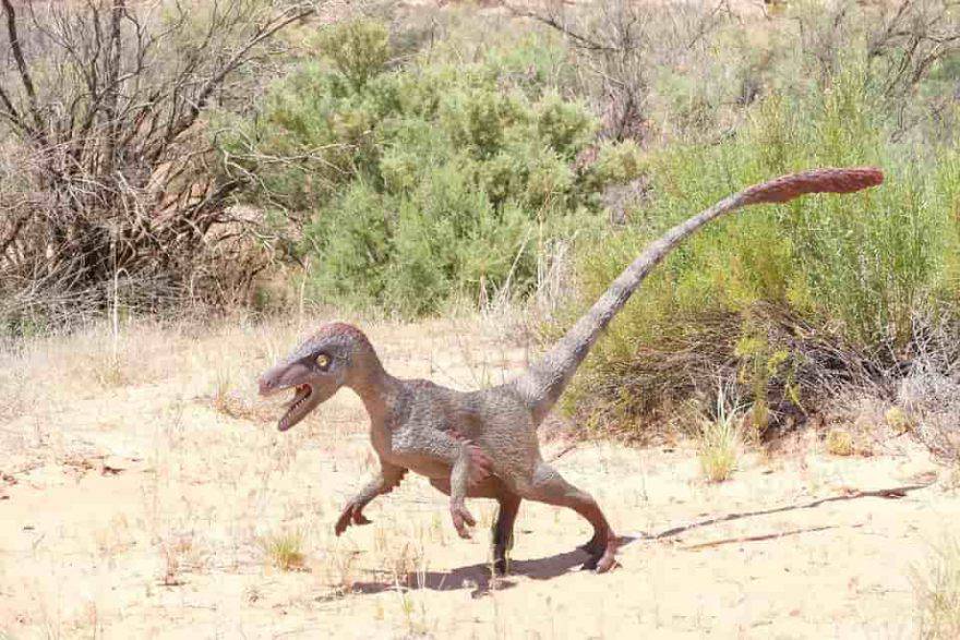 dinosauro velociraptor