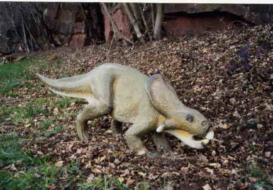Protoceratopo