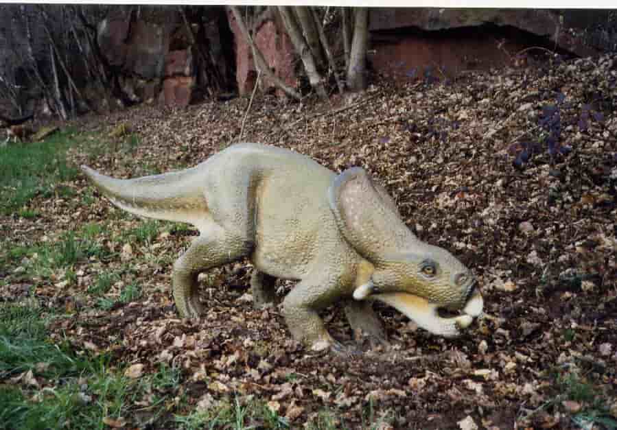 Dinosauri erbivori elenco, nomi, schede, curiosità VIDEO