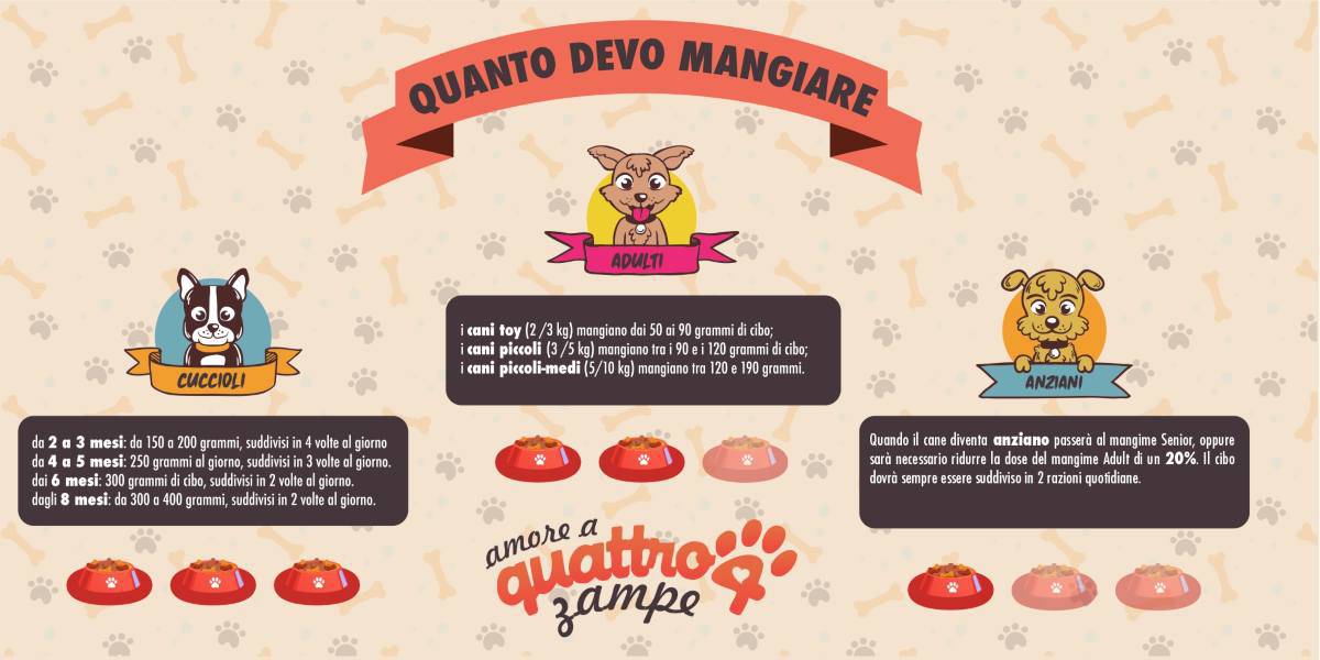 infografica quantità cani