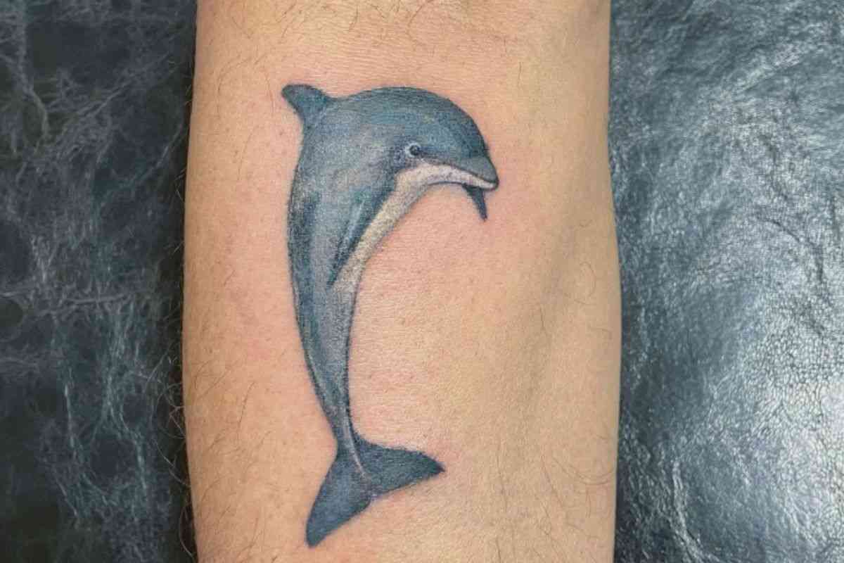Delfino colorato tattoo
