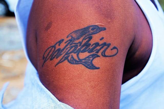 delfino tatuaggio
