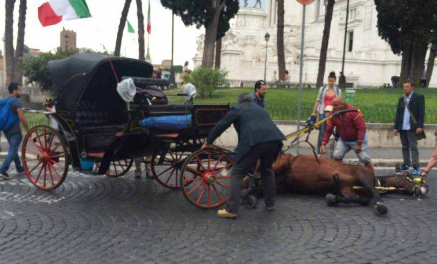 botticelle roma