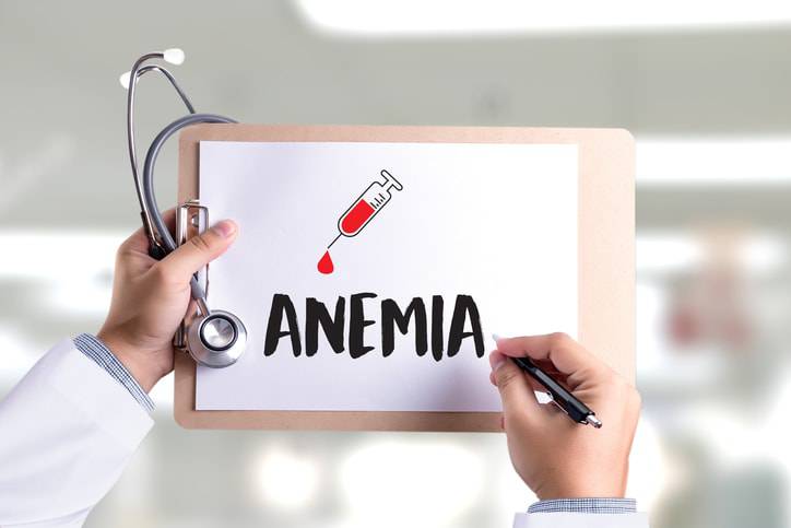 anemia nel cane