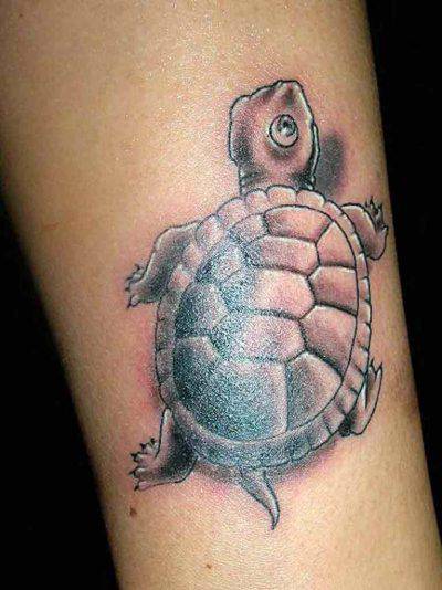 Tartaruga tatuaggio