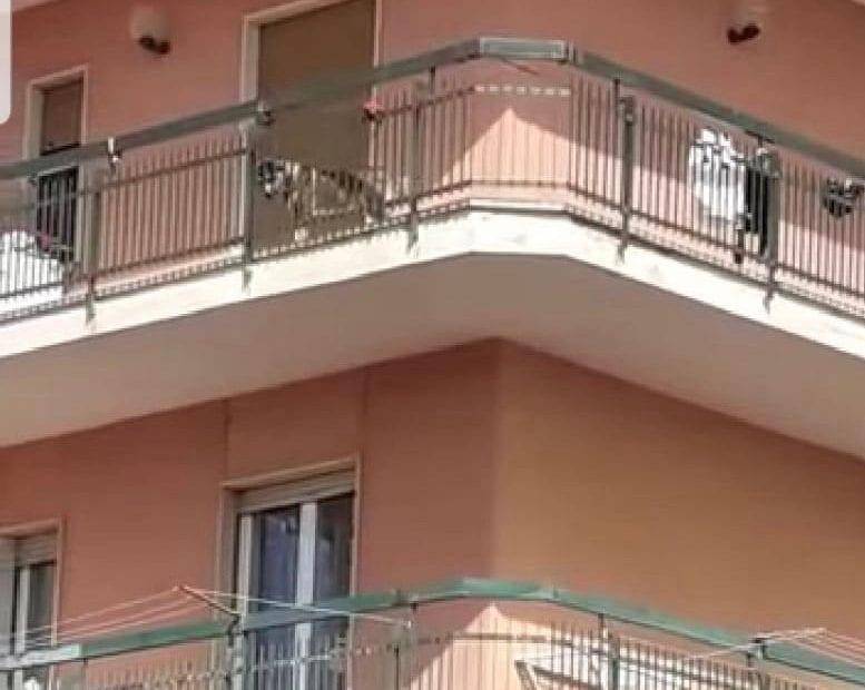cane balcone