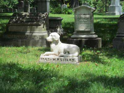 cimitero per animali