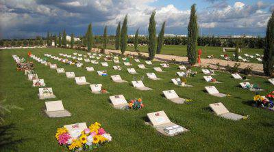 Cimitero animali