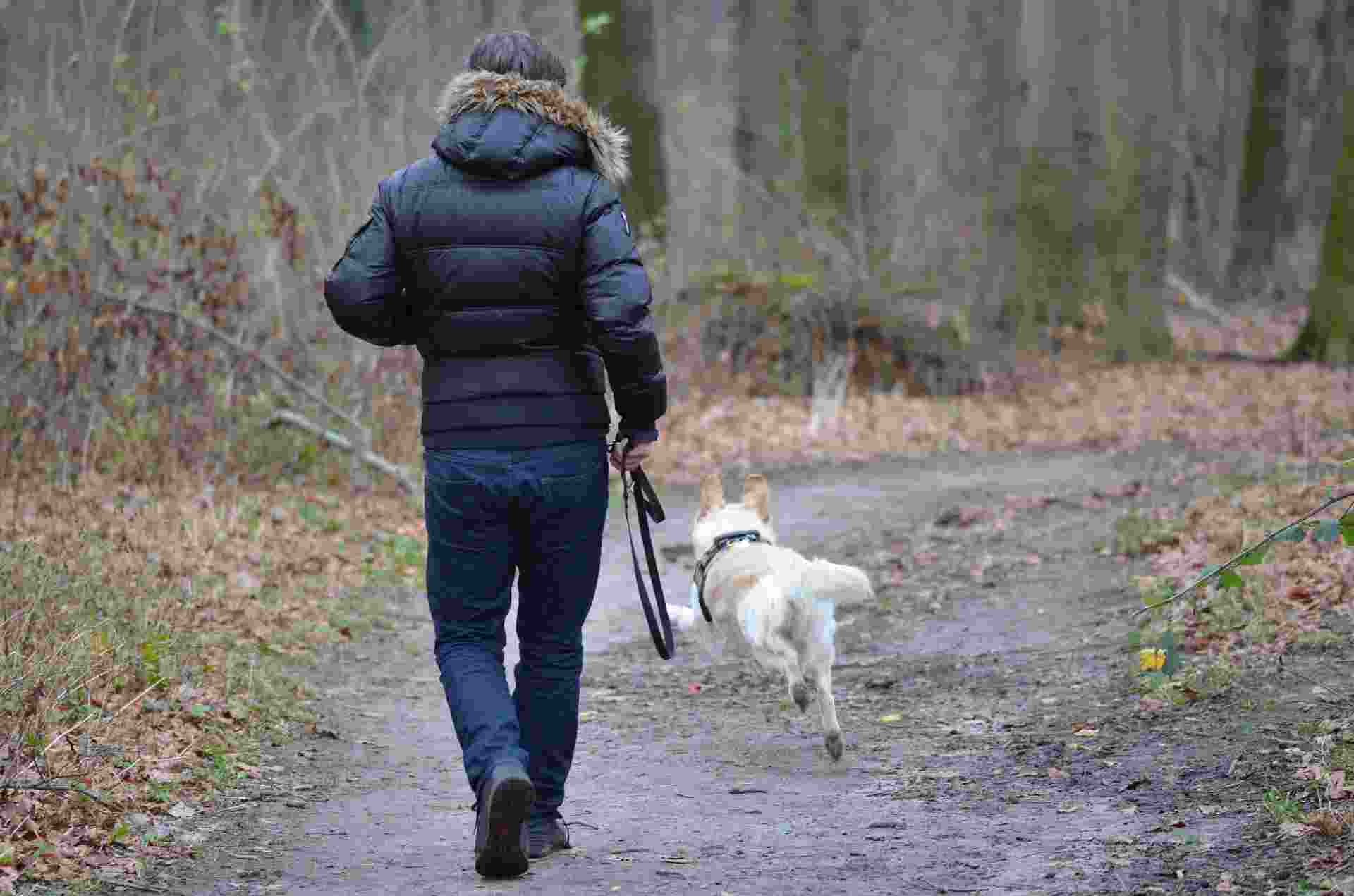 Educare il cane