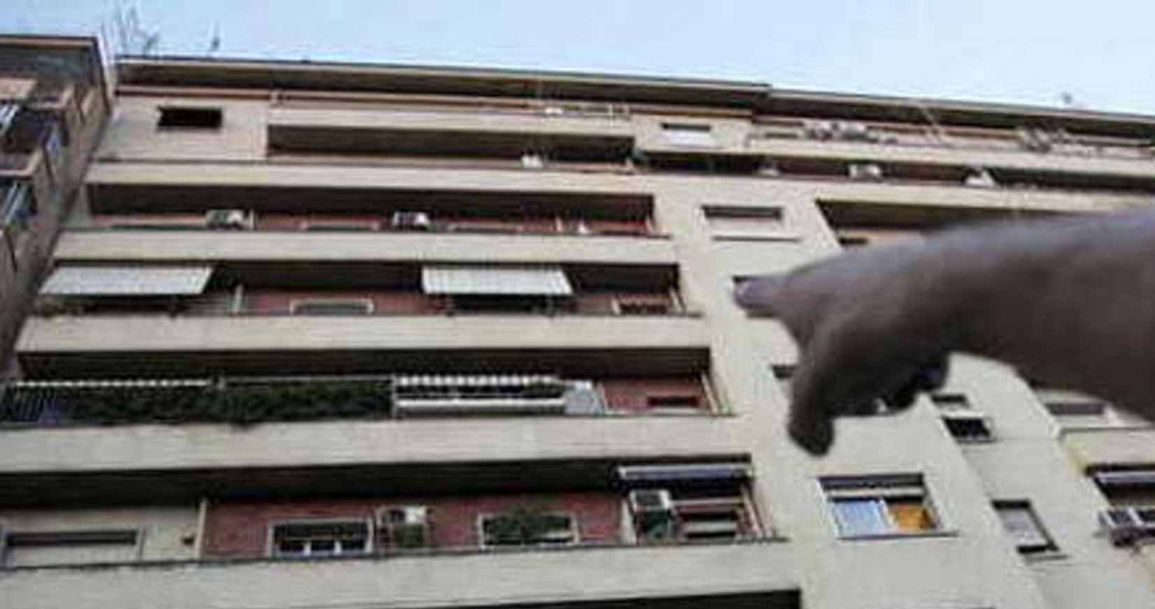 Cane cade dal balcone 