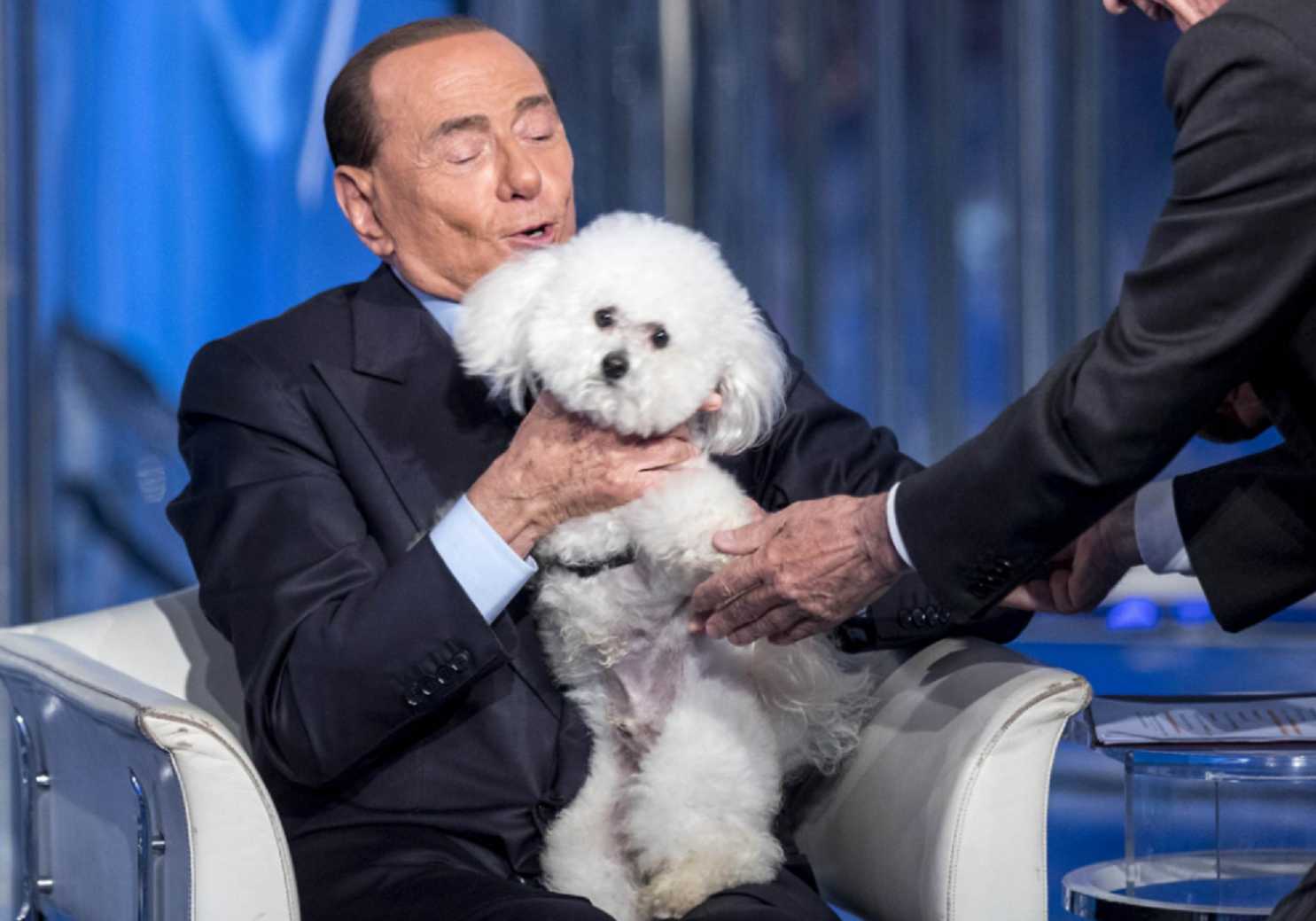 Имя берлускони 7 букв. Сильвио Берлускони с собакой. Берлускони 2006. Собака Бишон Сильвио Берлускони. Берлускони любимая собака.