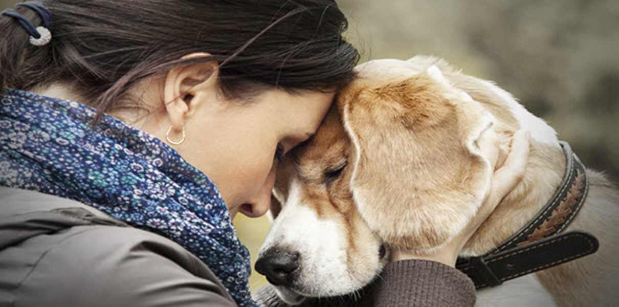 olfatto cane infezione uomo