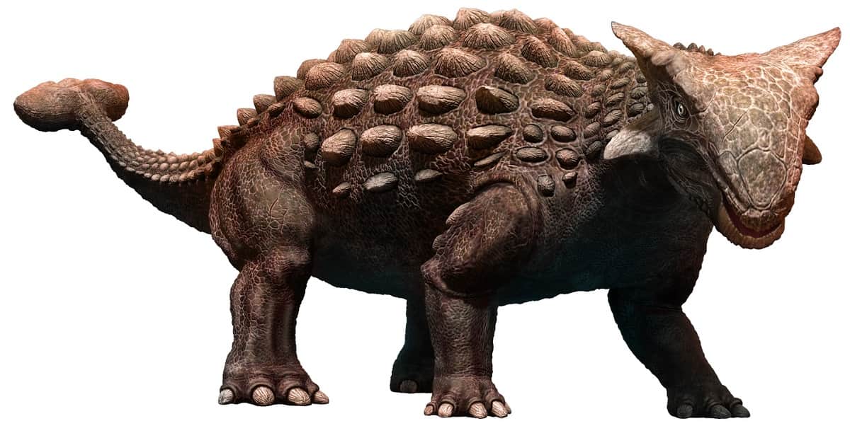 coda dinosauri