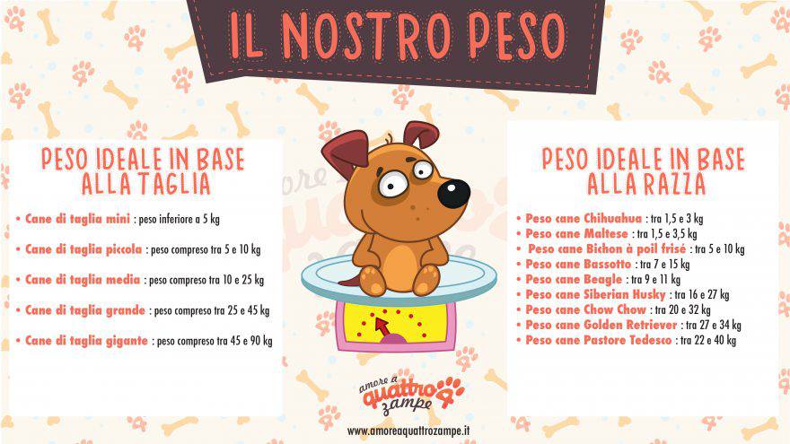 infografica peso ideale cane