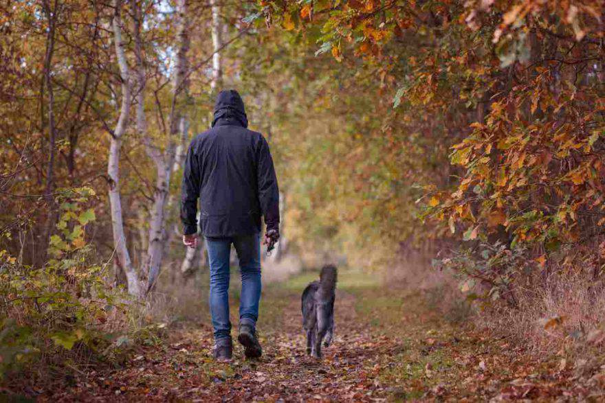 Passeggiare in autunno con il cane: come fare quando piove e fa freddo (foto Pixabay)