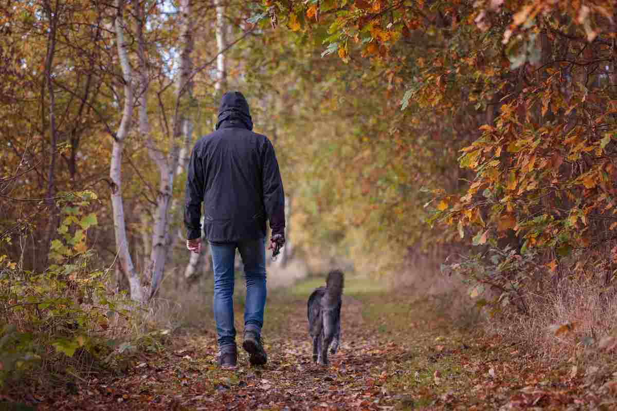 Passeggiare in autunno con il cane: come fare quando piove e fa freddo (foto Pixabay)