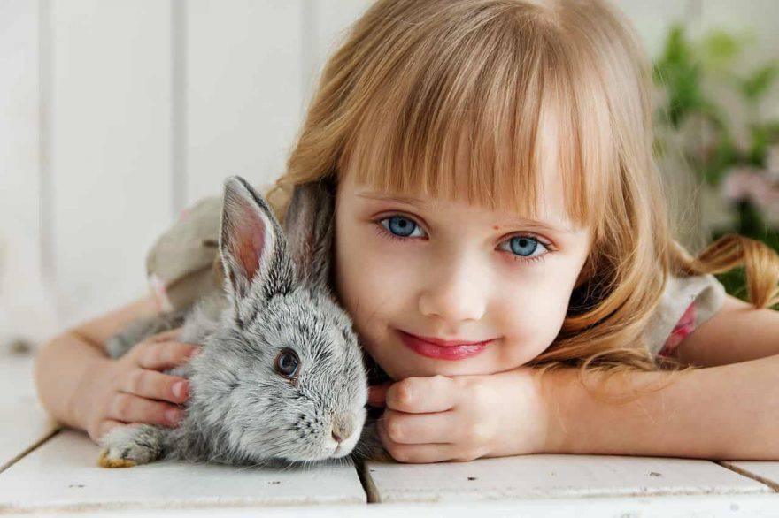 bambina con coniglio