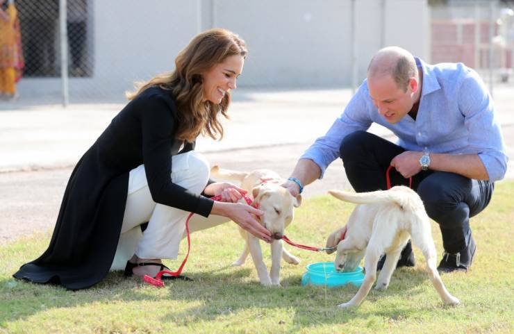  la principessa Kate ad Islamabad Pakistan presso il centro esercito canino anti mine