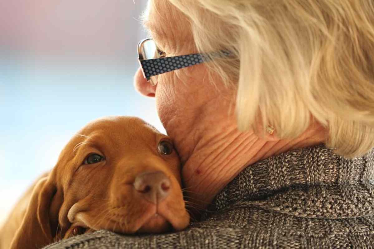Come aiutare il cane a vivere piu a lungo