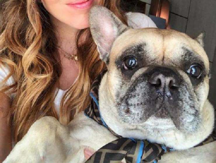 Chiara Ferragni cane Matilda