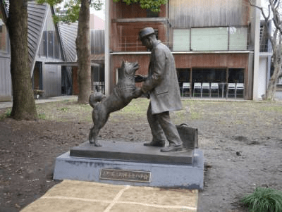 statua Hachiko vera storia