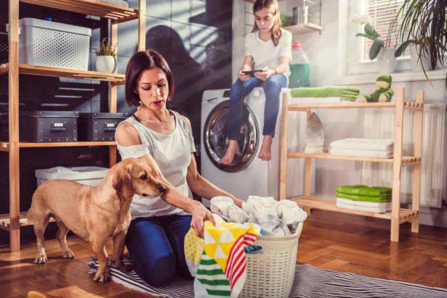casa pulita con cane animali
