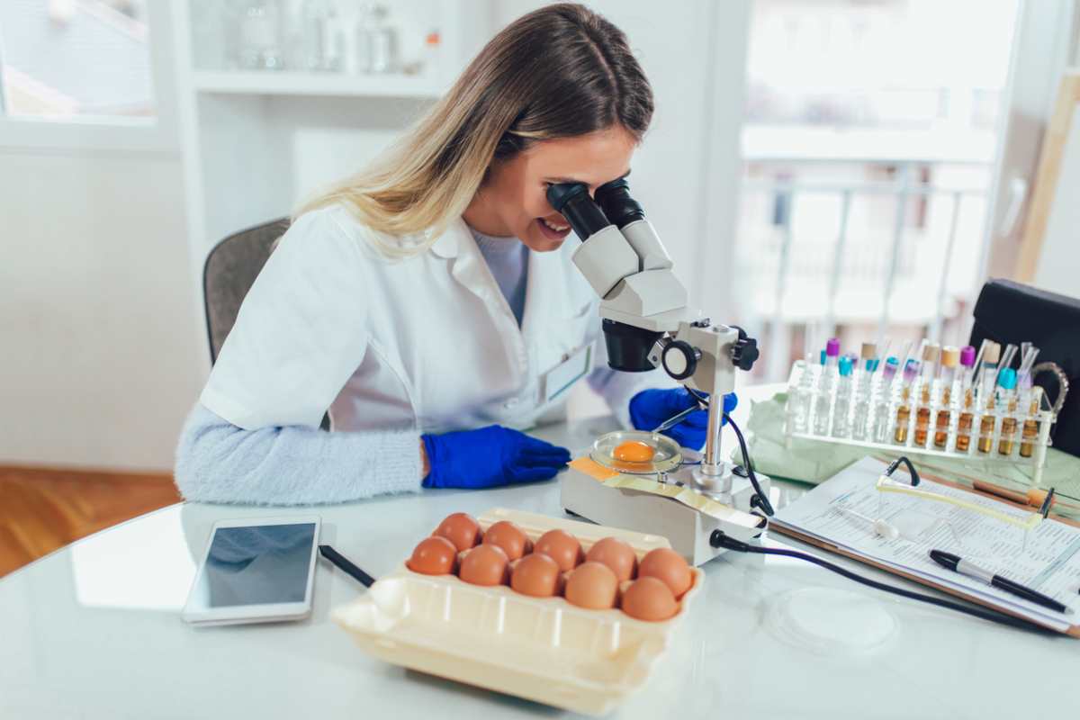 Лабораторный метод исследования кала. Исследование яиц в лаборатории. Прибор для исследования яиц. Исследование яиц в лаборатории. Исследование яиц в лаборатории.